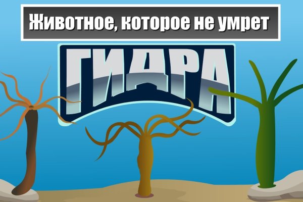 Блекспрут ссылки на tor