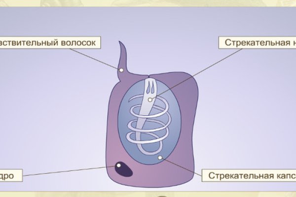 Почему не работает блэк спрут