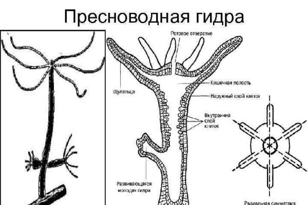 Https blacksprut torbaza blackprut com