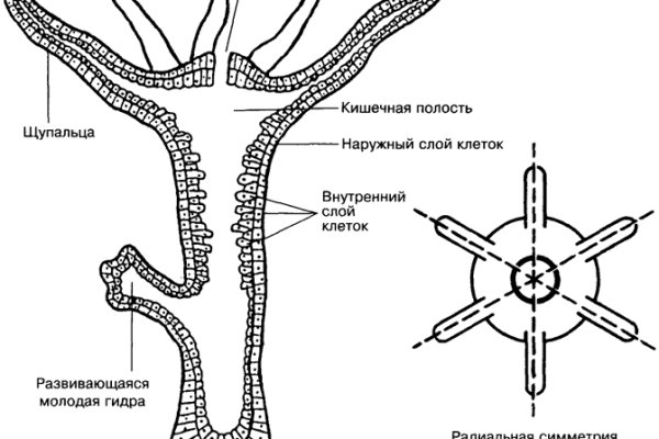 Www i bs ru официальный сайт